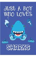 Just A Boy Who Loves Sharks