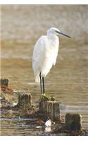Egret Notebook