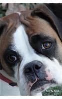 Boxer Dog Journal