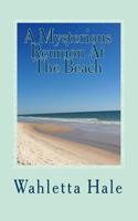 Mysterious Reunion At The Beach: A FLorida Coastal Fishing Village Mystery Revised Book Two