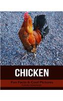 Chicken: Fun Facts & Cool Pictures