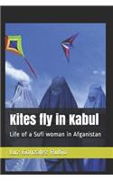 Kites fly in Kabul
