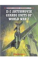 Il-2 Shturmovik Guards Units of World War 2