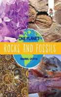 Rocks and Fossils