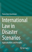 International Law in Disaster Scenarios