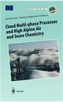 Cloud Multi-phase Processes and High Alpine Air and Snow Chemistry