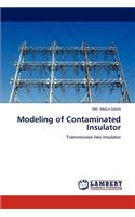 Modeling of Contaminated Insulator