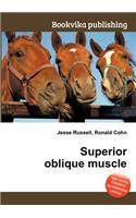 Superior Oblique Muscle