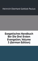 Exegetisches Handbuch Ber Die Drei Ersten Evangelien, Volume 3 (German Edition)