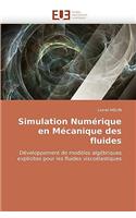 Simulation Numerique En Mecanique Des Fluides