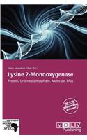 Lysine 2-Monooxygenase