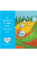 Adventures of a Water Drop