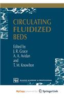 Circulating Fluidized Beds