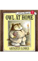 Owl at Home