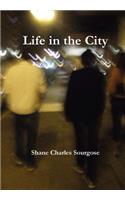 Life in the City