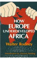 How Europe Underdeveloped Africa