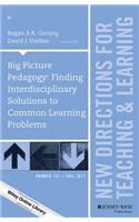 Big Picture Pedagogy: Finding Interdisciplinary Solutions to Common Learning Problems