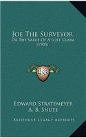 Joe The Surveyor