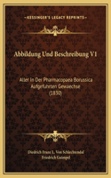 Abbildung Und Beschreibung V1
