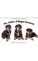 Des Bebes D'anges Heureux 2017
