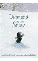 Diamond in the Snow