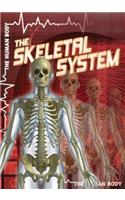 The Skeletal System