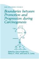 Boundaries Between Promotion and Progression During Carcinogenesis