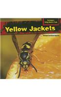 Yellow Jackets: (Scavengers: Eating Nature's Trash)