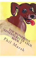 The Wondrous Adventures of Cecil