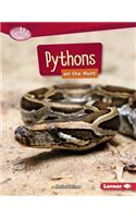 Pythons on the Hunt