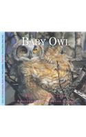 Baby Owl