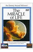 The Miracle of Life