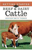 Getting Started with Beef & Dairy Cattle