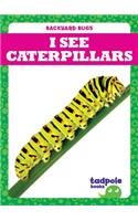 I See Caterpillars