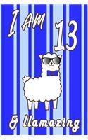 I AM 13 and LLamazing boys journal