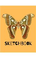 Sketchbook