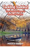 Tackling Sudoku