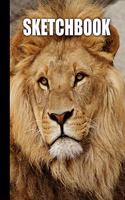 Sketchbook: Lion Cover Design - White Paper - 120 Blank Unlined Pages - 8.5" X 11" - Matte Finished Soft Cover