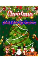 Christmas Adult Color By Numbers ( Volume 1 )