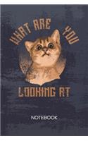 Bullet Dotted Journal: Cat Owner Notebook Dotted Grid a5 6x9 120 Pages - Cat Quote Planner Pussycat Diary Kitty Cat - Cat Owner Cat Friend Gift Idea for Men and Women