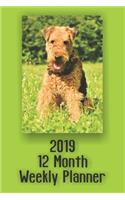 2019 12 Month Weekly Planner: 1 Year Daily/Weekly/Monthly Planner, January 2019-December 2019, Airedale Terrier Dog Cover