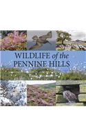 Wildlife of the Pennine Hills