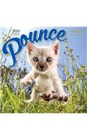 Pounce 2020 Mini 7x7