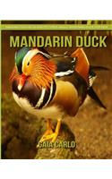 Mandarin Duck