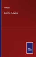 Examples in Algebra
