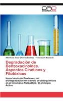 Degradación de Benzoxacinoides. Aspectos Cinéticos y Fitotóxicos