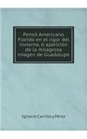 Pensil Americano Florido En El Rigor del Invierno, Ó Aparición de la Milagrosa Imagen de Guadalupe