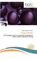 Cajal Body