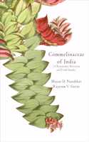 Commelinaceae of India (Taxonomic Revision and Field Guide) [Paperback] Mayur D. Nandikar; Rajaram V. Gurav