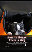 How t&#1086; House Train &#1072; Dog: become your pet's best friend